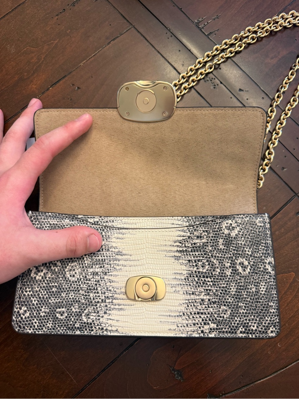 COACH Eliza Snake-Print Chain Shoulder/crossbody Bag - Picture 2 of 12